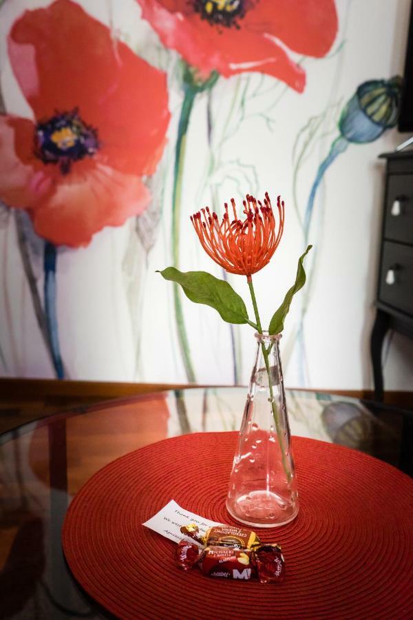 Quiet & Cosy Apt In The Heart Of Old Cracow Krasków Εξωτερικό φωτογραφία